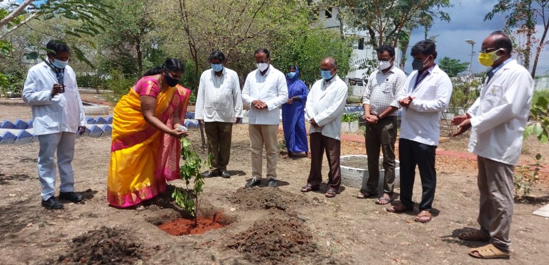 World Environmental Day